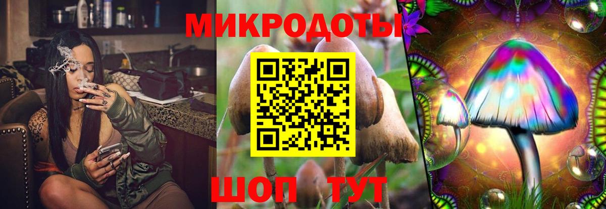 Псилоцибиновые грибы Psilocybine cubensis Сальск